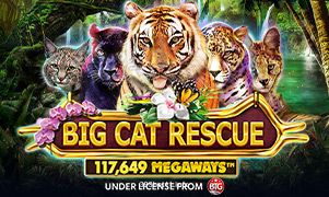 Imagem do jogo Big Cat Rescue Megaways no 393bet